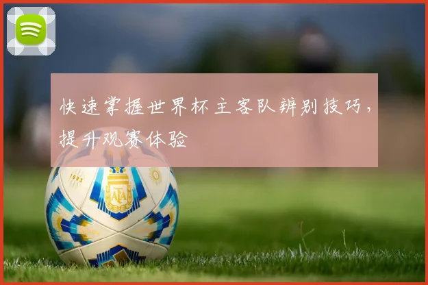 快速掌握世界杯主客队辨别技巧，提升观赛体验